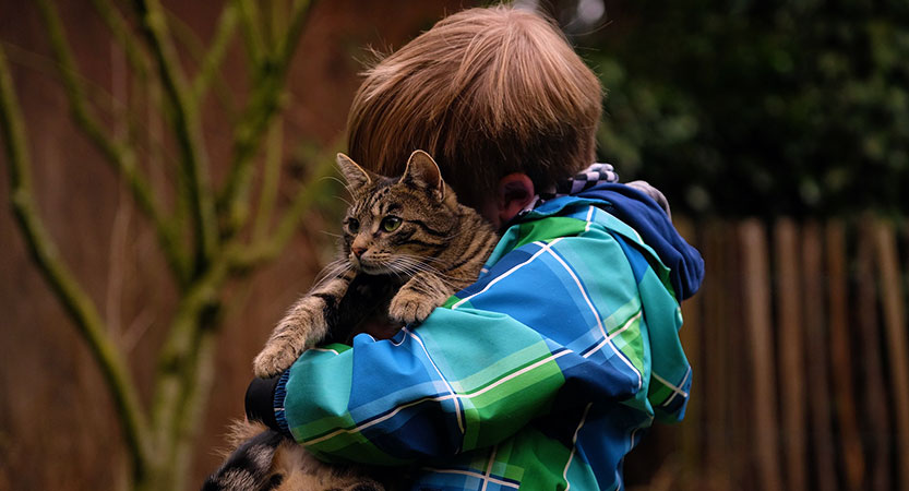You are currently viewing How to hug a cat