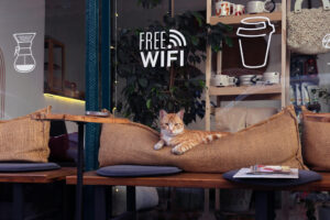 Read more about the article Opening Your Own Cat Café: The Complete Guide to Launching a Feline-Friendly Business